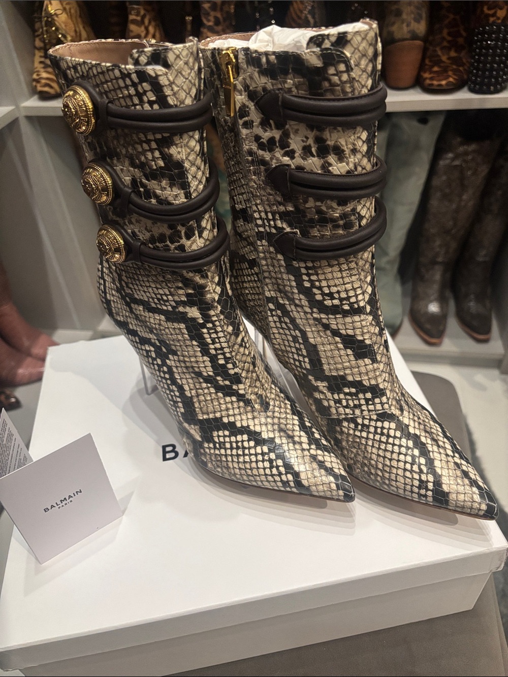 Balmain Snake-Print Pointed Ankle Boots with Gold Medallions. Includes Dust bag